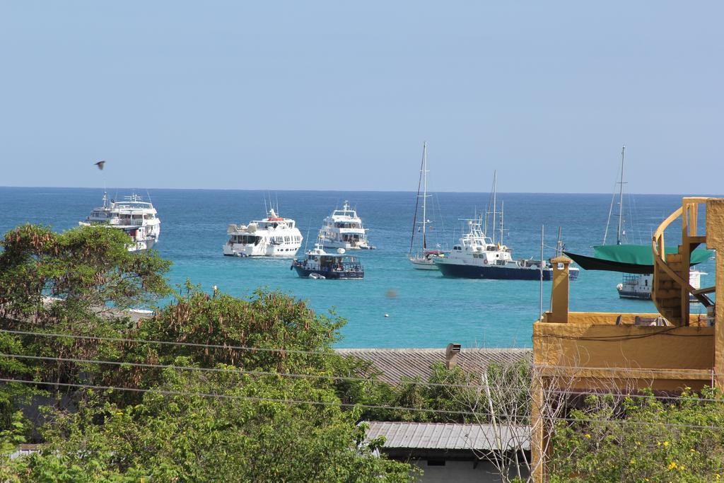 The Galapagos Pearl B&B Puerto Ayora  Room photo